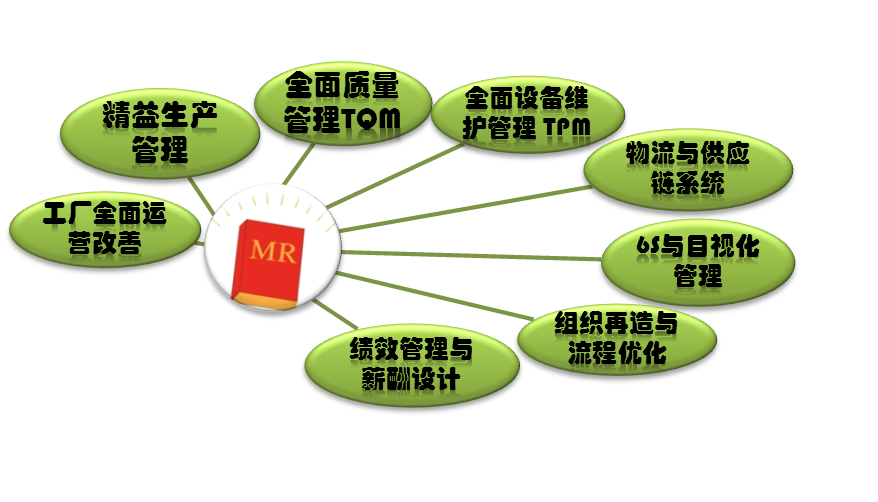 八大咨詢項目